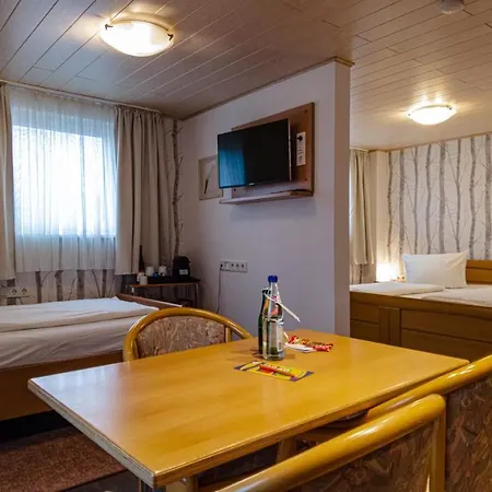 Hotel Burgblick 3*