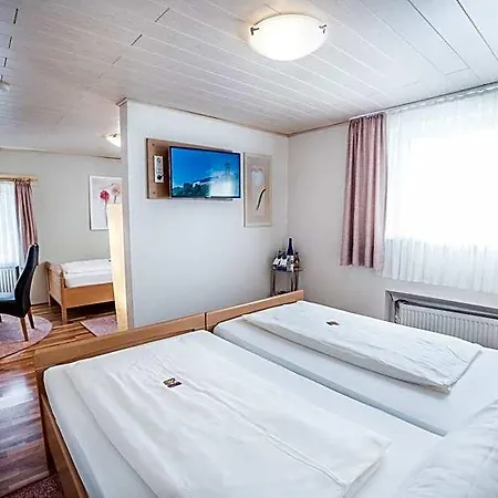 Hotel Hotel Burgblick 3*