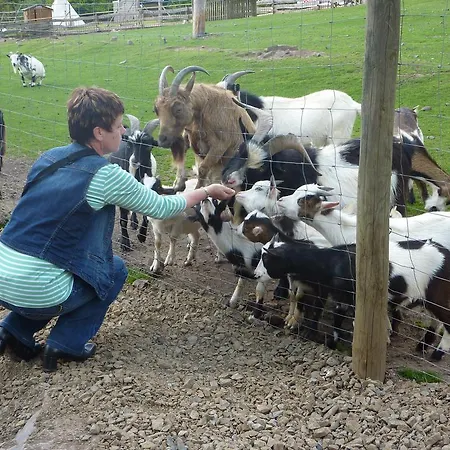 Hotel Tiptop Burgblick 3*