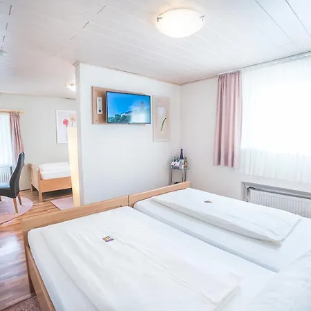 Hotel Hotel Burgblick Thallichtenberg