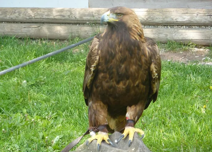 Hotel Burgblick Thallichtenberg